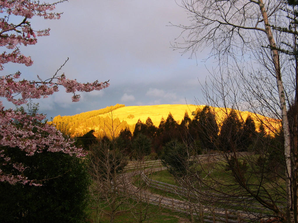 Whakaipo Lodge Taupo Ngoại thất bức ảnh
