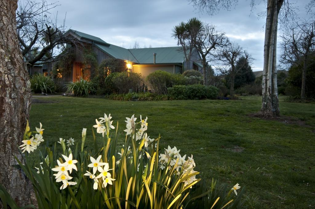 Whakaipo Lodge Taupo Ngoại thất bức ảnh