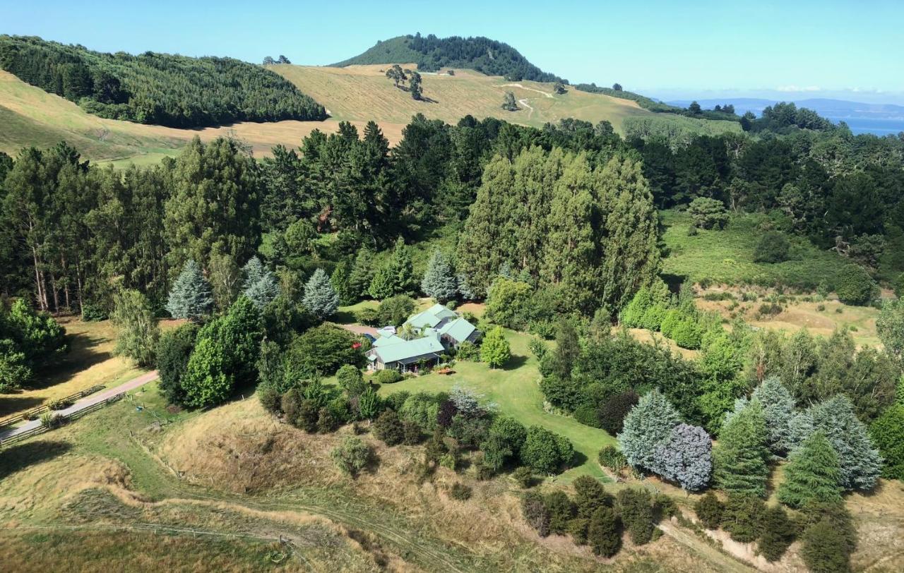 Whakaipo Lodge Taupo Ngoại thất bức ảnh